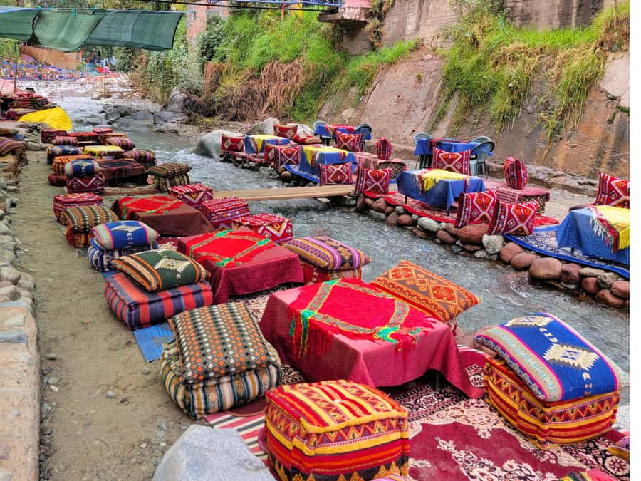 Marrakech: Ourika Valley & Waterfalls Guided Tour with Lunch - The return drive to Marrakesh