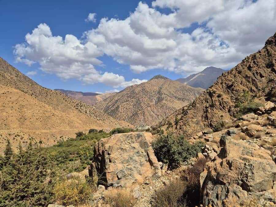 Marrakech: Ourika Valley, Waterfalls Private Trip with Lunch - Argan oil and the value of a local stop