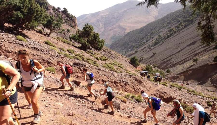 Marrakech: Ourika Valley waterfalls with guide& Berber lunch - Berber lunch beside the river