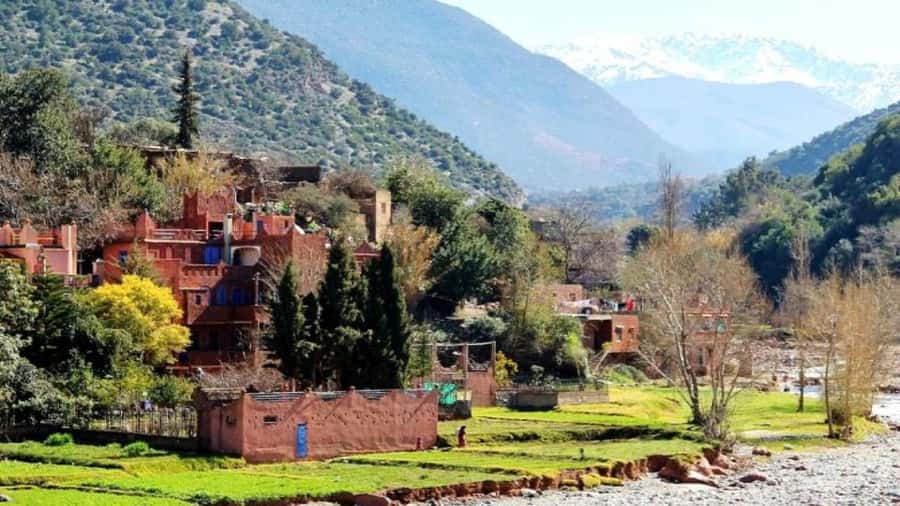 Marrakech: Ourika Valley waterfalls with guide& Berber lunch - Is $29 good value?