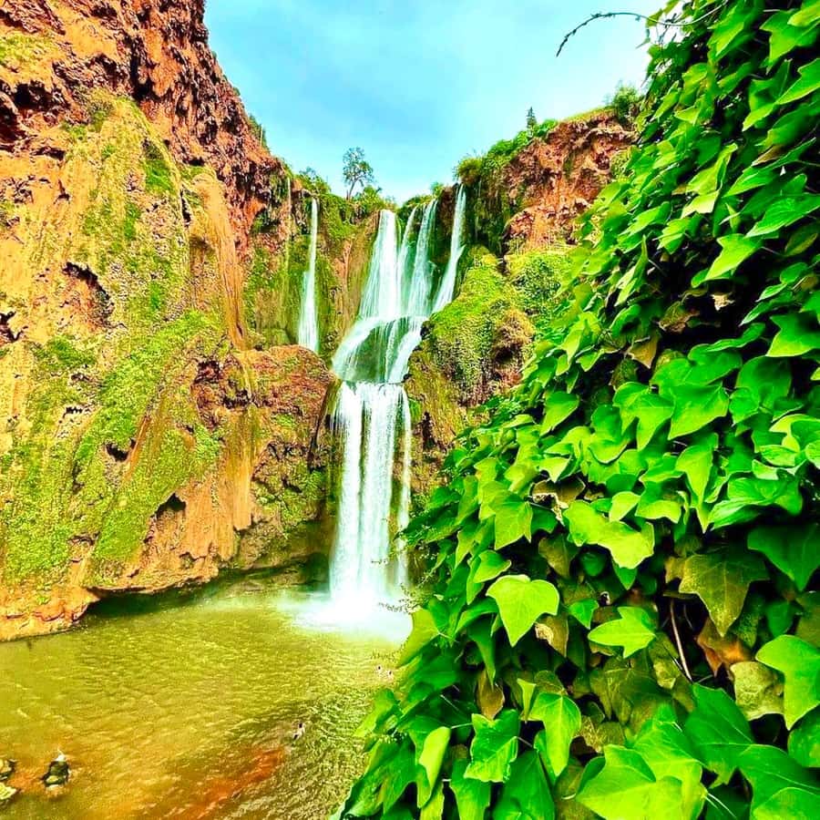 Marrakech: Ouzoud Waterfall, Guided Hike, Boat Ride & Lunch - Who should book this Ouzoud day trip?