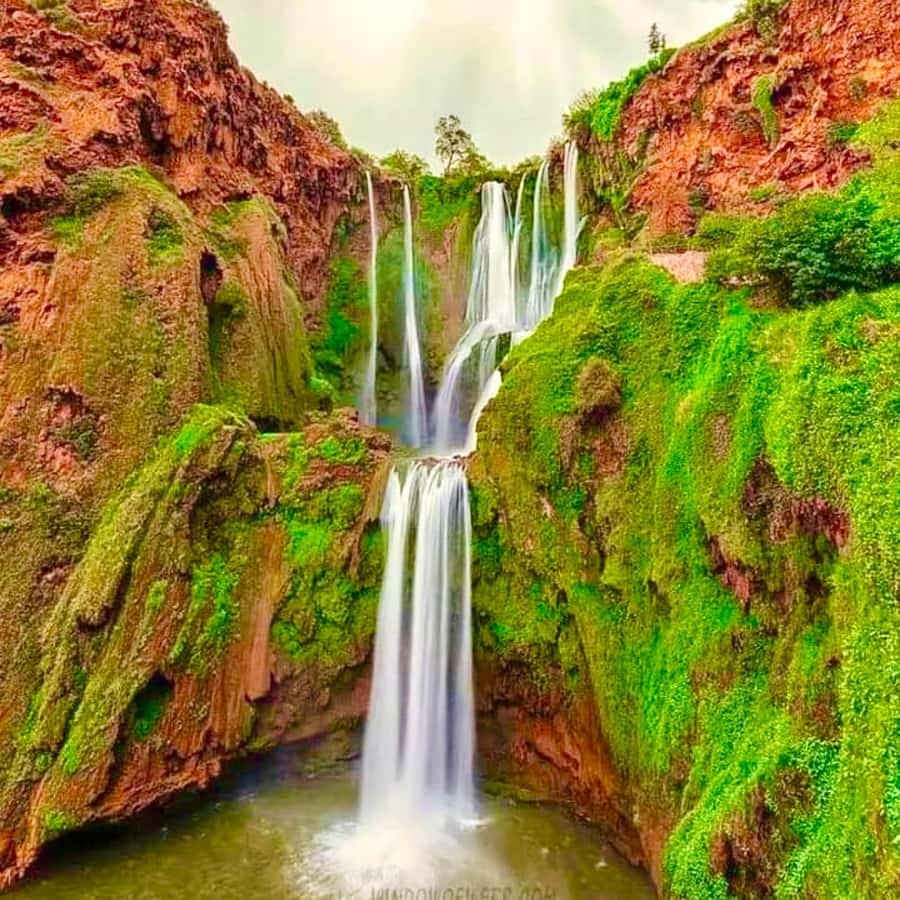 Marrakech: Ouzoud Waterfall, Guided Hike, Boat Ride & Lunch - Watching Barbary macaques along the trail