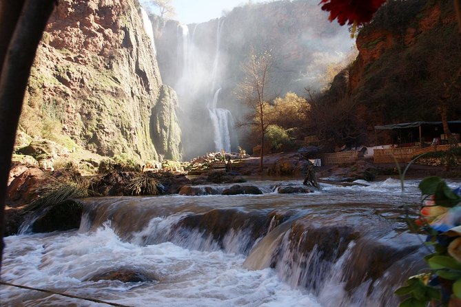 Marrakech: Ouzoud Waterfalls Guided Day Trip with Boat Ride - Barbary macaques around the river
