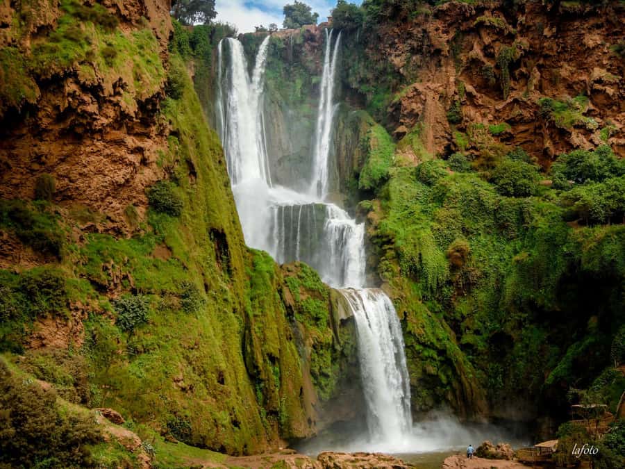 Marrakech : Ouzoud Waterfalls & Guided Tour & Boat Ride - Walking the trails with a local guide