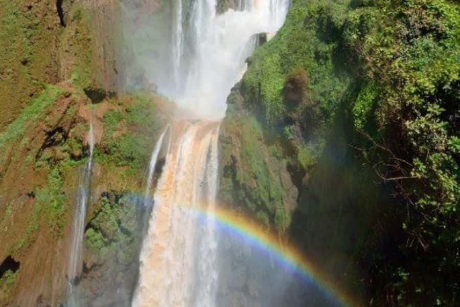 Marrakech: Ouzoud Waterfalls Trip, Guided Hike & Boat Option - Meeting the Monkeys Safely
