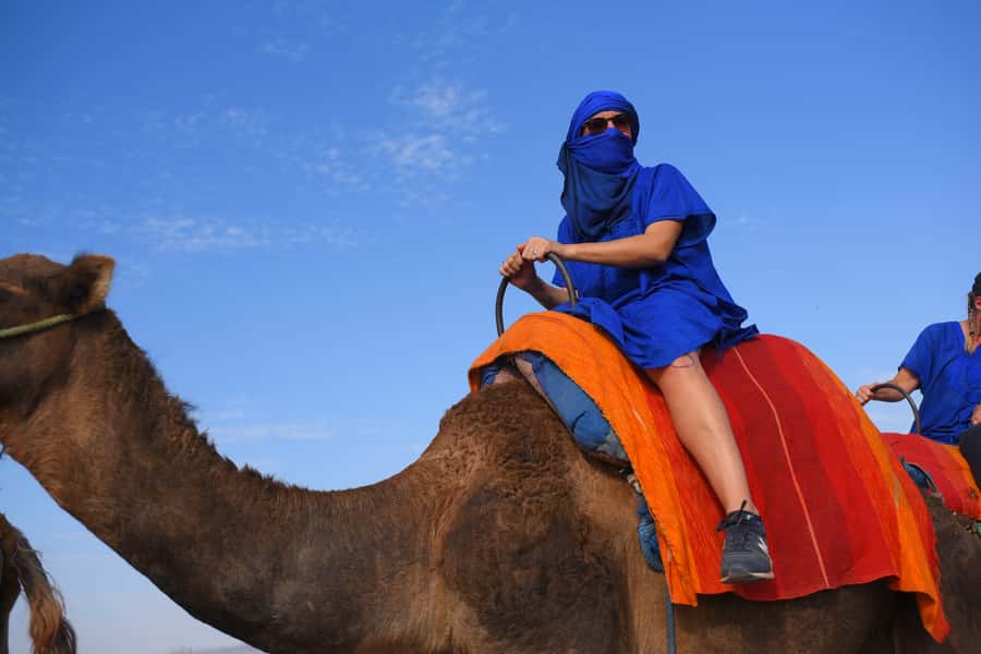 Marrakech: pack quad and camel ride in the palm grove - Two hours through rocky ground and palms