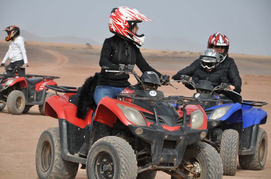 Marrakech: pack quad and camel ride in the palm grove - The photo stop among the palm trees