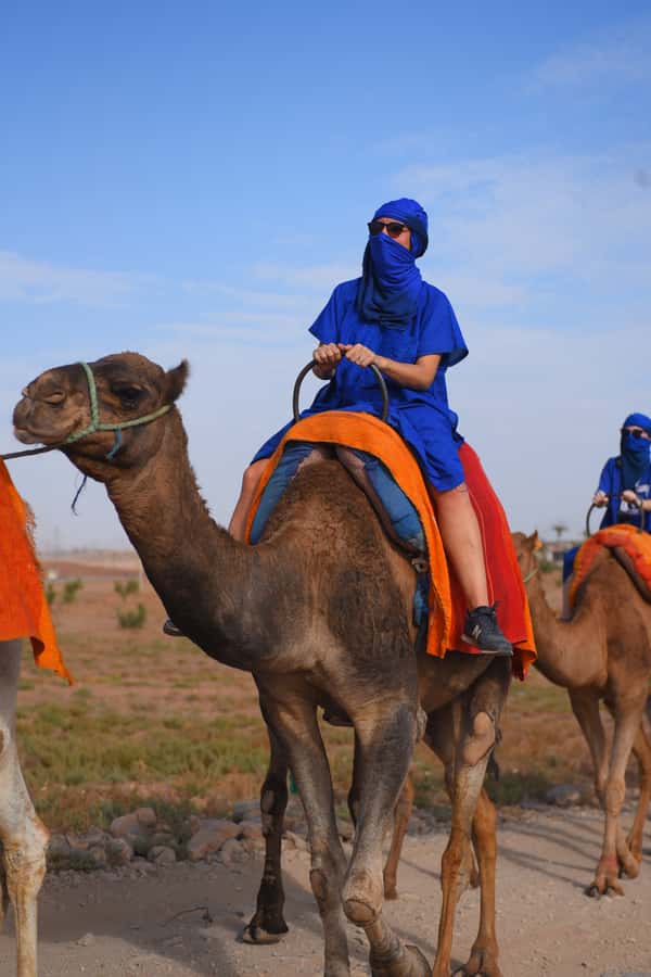 Marrakech: pack quad and camel ride in the palm grove - What the $28 price really covers