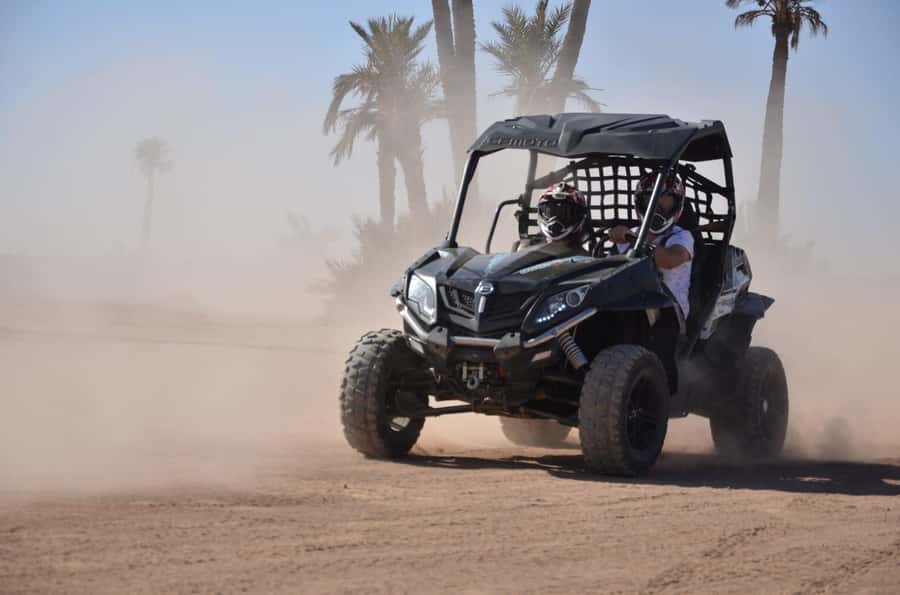 Marrakech: Palm Grove and Desert Buggy excursion - Is $45 good value for Marrakech?