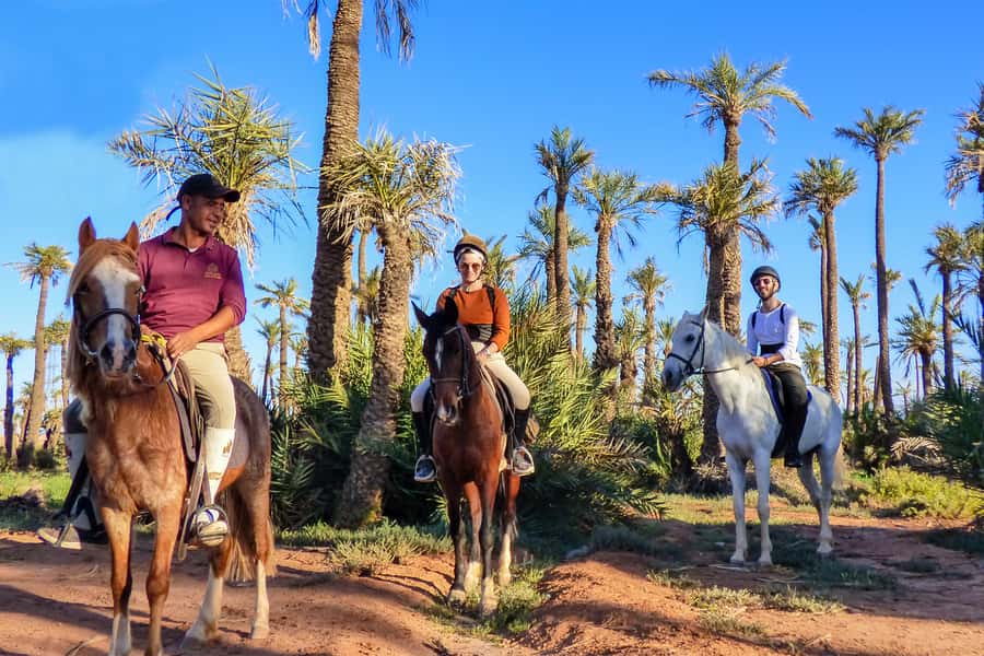 Marrakech: Palm Grove Horseback Riding Tour - Riding among more than 100,000 palm trees