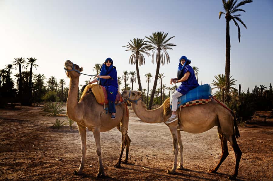 Marrakech Palmeraie: Camel Ride at Sunset - What the $20 Palmeraie outing really gives you
