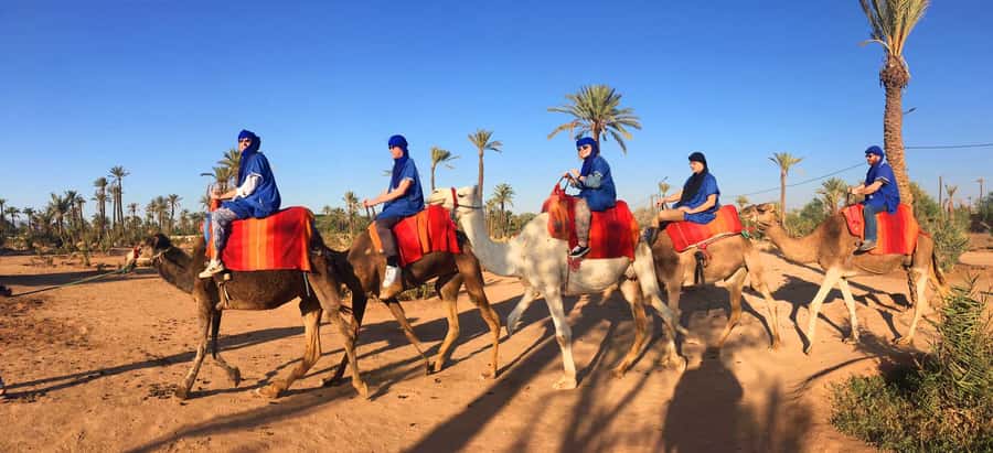 Marrakech Palmeraie: Camel Ride at Sunset - Best season and the sunset trade-off