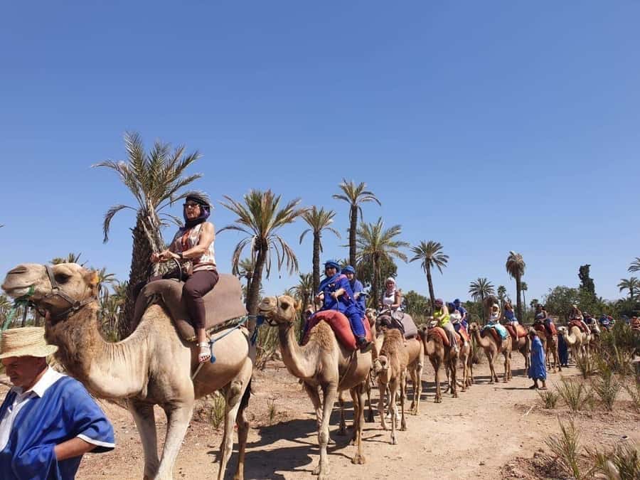 Marrakech Palmeraie: Camel Ride at Sunset - Sunset photos, videos, and small personal touches