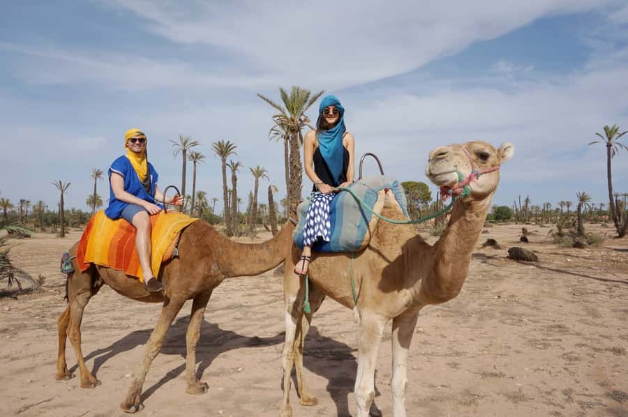 Marrakech Palmeraie: Camel Ride at Sunset - Comfort, pace, and what the two hours mean