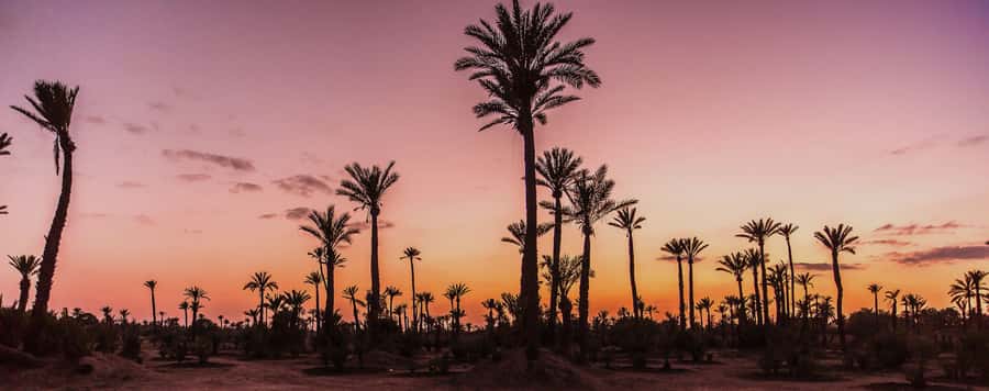 Marrakech Palmeraie: Camel Ride at Sunset - Dressing for the ride in a jilbab and scarf