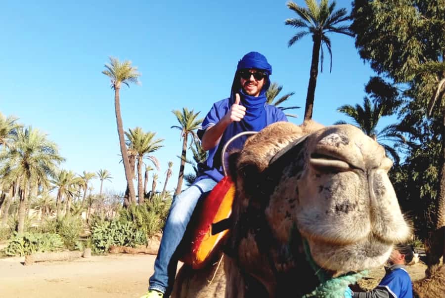 Marrakech Palmeraie: Camel Ride & Quad Bike Experience - Who should book, and who should skip it?