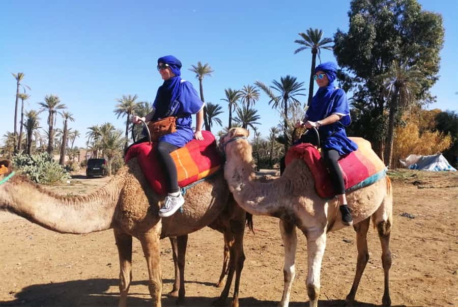Marrakech Palmeraie: Camel Ride & Quad Bike Experience - What the Palmeraie setting adds to the day