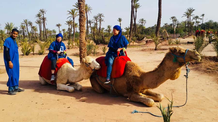 Marrakech Palmeraie: Camel Ride & Quad Bike Experience - Pickup from your riad or hotel