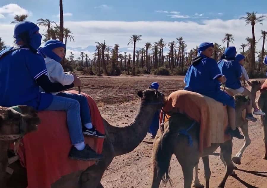 Marrakech: Palmeraie Camel Ride & Traditional Moroccan Spa - The camel ride through palm trees and village areas