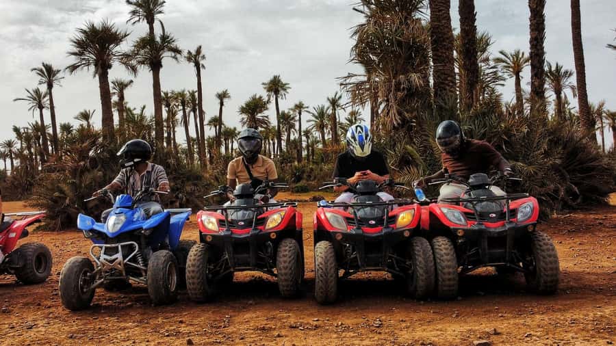 Marrakech: Palmeraie Guided Quad Biking Tour with Tea - Should you book the Marrakech Palmeraie quad tour?