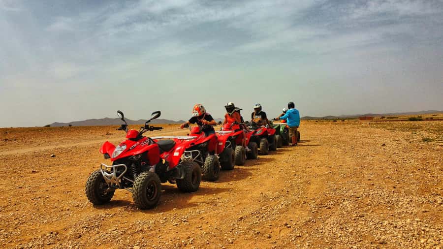 Marrakech: Palmeraie Guided Quad Biking Tour with Tea - Mint tea, bread, honey, and olives