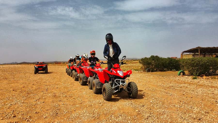 Marrakech: Palmeraie Guided Quad Biking Tour with Tea - Is $15 good value?
