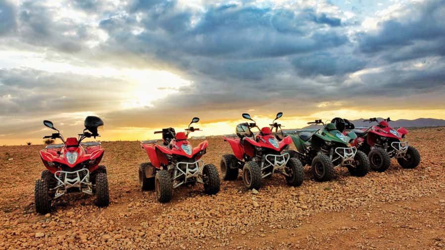 Marrakech: Palmeraie Guided Quad Biking Tour with Tea - Pickup from your hotel or riad