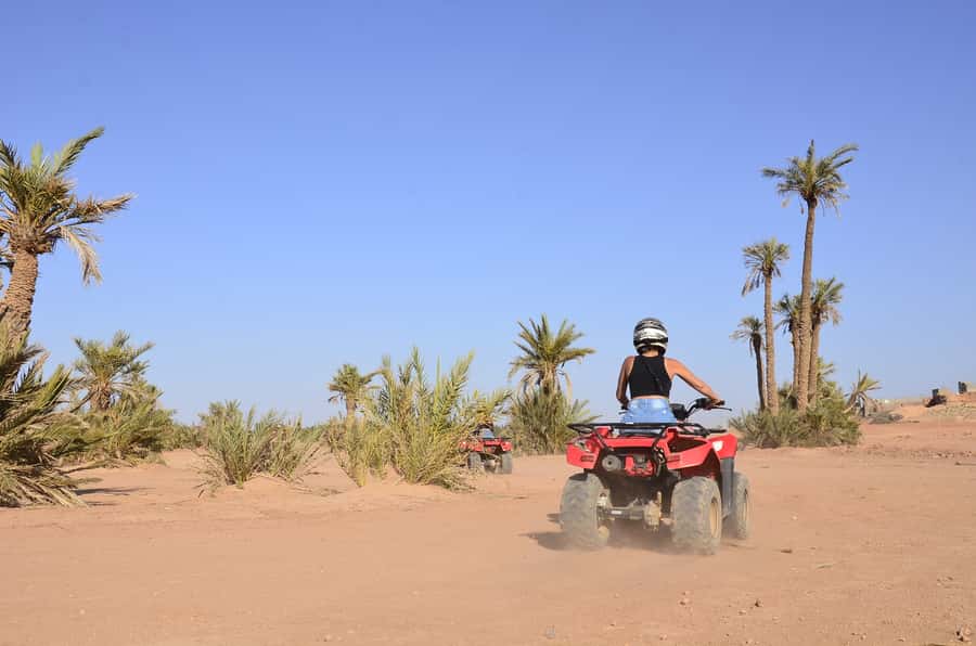 Marrakech: Palmeraie Guided Quad Tour with Tea Break - Who will get the most from this $21 outing