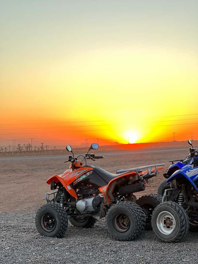 Marrakech: Palmeraie Private Quad Bike Experience - Mint tea, olives, honey, and a local welcome
