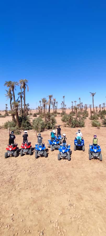 Marrakech: Palmeraie Private Quad Bike Experience - Is $15 good value?