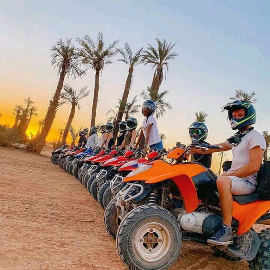 Marrakech: Palmeraie Private Quad Bike Experience - Two hours across rocky ground and palm groves