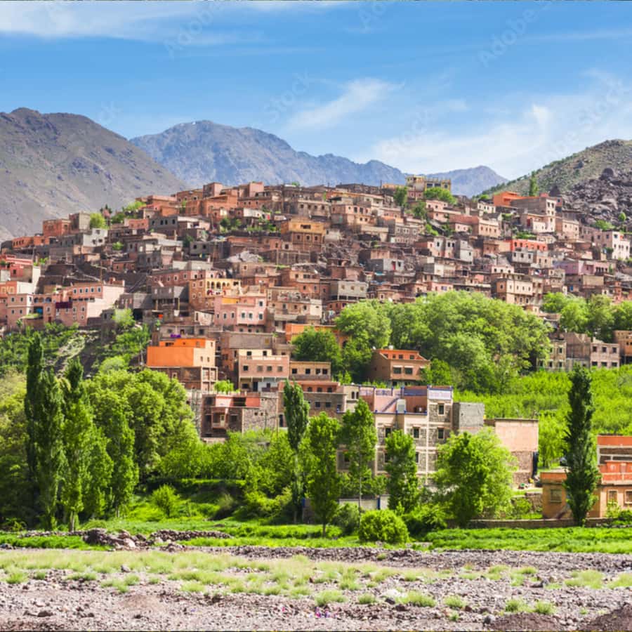 Marrakech: Paragliding, Camel Ride & Berber Villages Trip - Argan oil, breakfast, and the road toward Asni