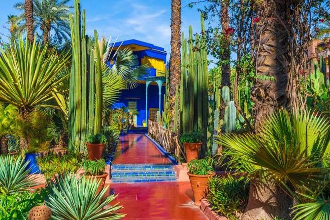 Marrakech: Private Guided Half-Day City Tour - Starting from your hotel or Hôtel Ali