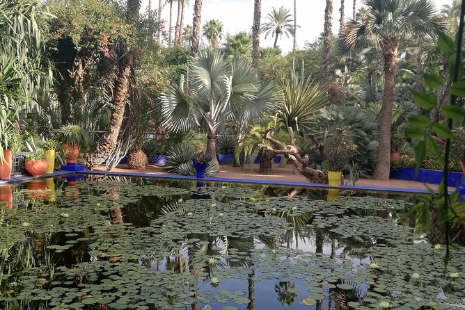 Marrakech: Private Guided Half-Day City Tour - Jemaa el-Fnaa, Marrakech’s public stage