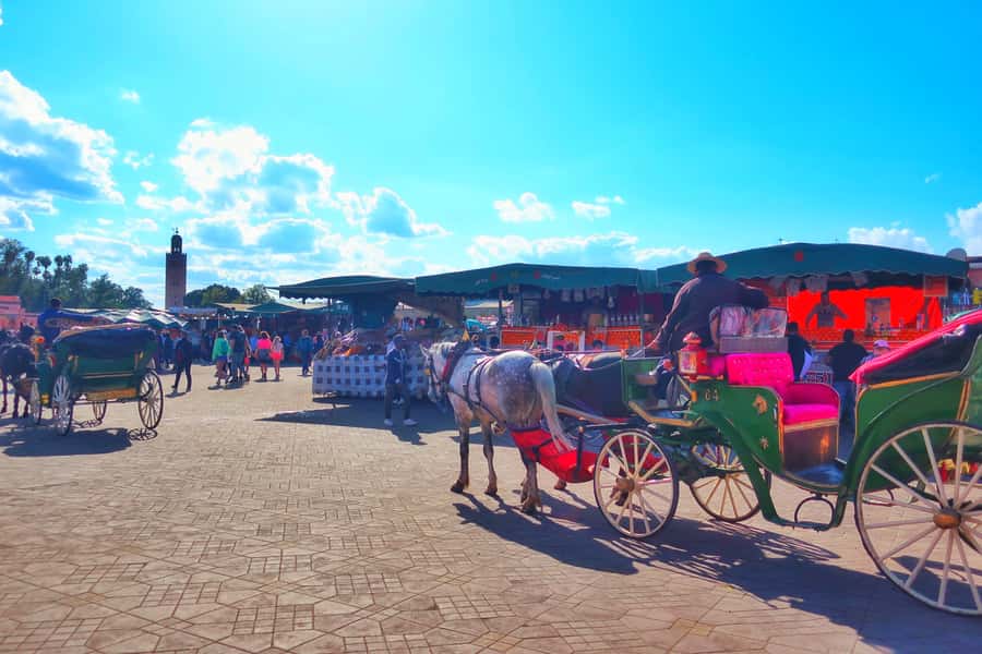 Marrakech: Private Half-Day City Highlights Tour - The Jewish Quarter and Marrakech’s Shared Past