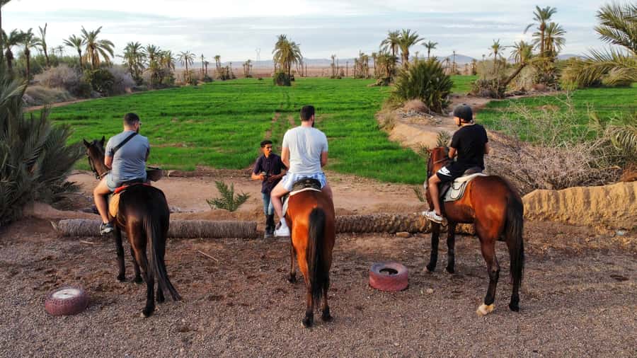 Marrakech: Private Horseback Tour in the Palm Grove with Tea - Key points at a glance