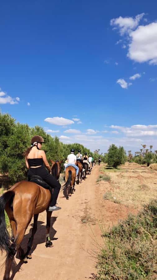 Marrakech: Private Horseback Tour in the Palm Grove with Tea - Leaving Marrakech for the Palmeraie