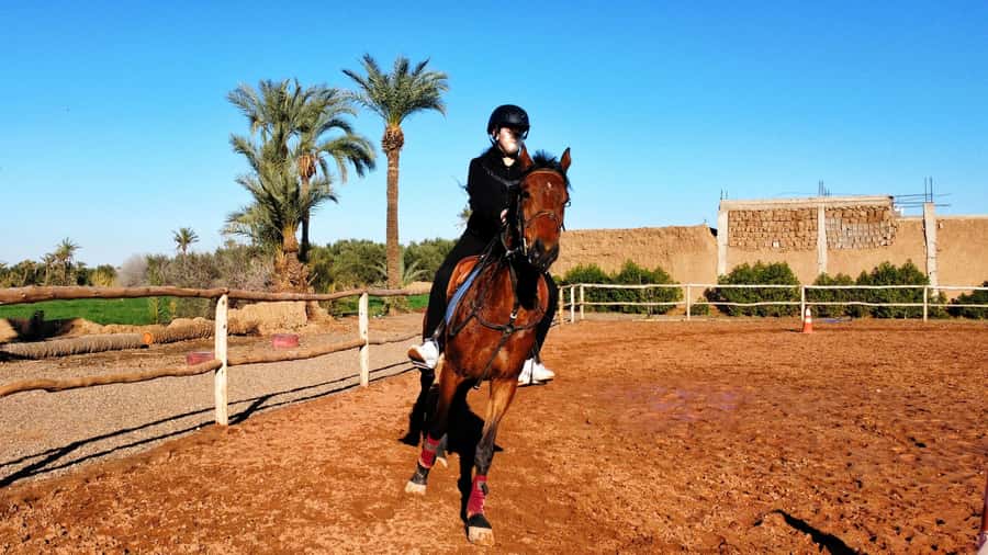 Marrakech: Private Horseback Tour in the Palm Grove with Tea - How the guides handle beginners