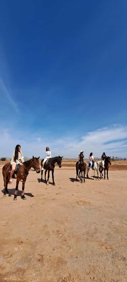 Marrakech: Private Horseback Tour in the Palm Grove with Tea - The mint tea stop in the palm grove