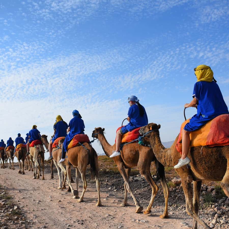 Marrakech: quad bike and Camel Ride in Marrakech - Key points to know before booking