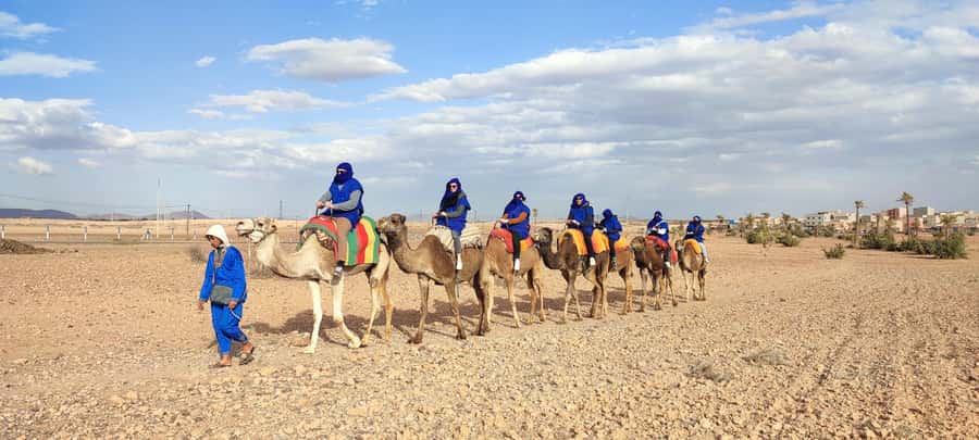 Marrakech: quad bike and Camel Ride in Marrakech - Two hours on a quad through the palm grove