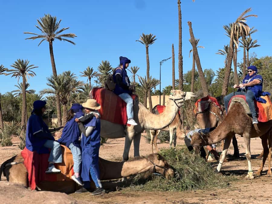 Marrakech: Quad Bike excursion at the sunset with Tea Break - Why sunset is the right time for the Palmeraie
