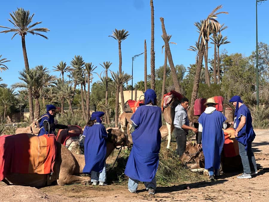 Marrakech: Quad Bike excursion at the sunset with Tea Break - Riding through the palms and Jbilet Desert