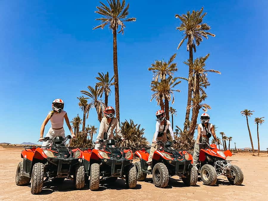 Marrakech: Quad Bike Tour to Palm Oasis and Jbilat Desert - Key points at a glance