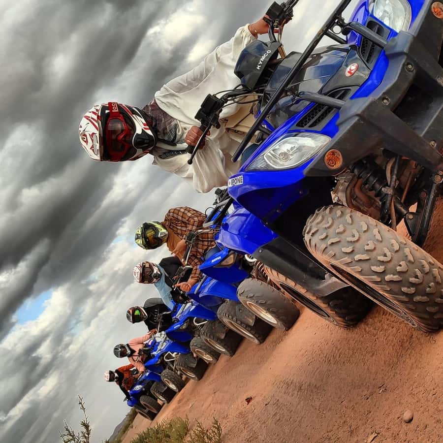 Marrakech: Quad excursion in the palm trees of Marrakech - Riding through the Palmeraie for up to two hours