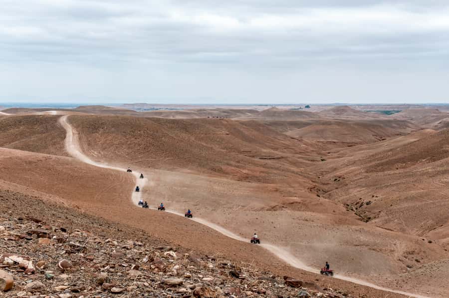 Marrakech: Quad Tour in Jbilets Desert with Palm Grove - The shared quad question