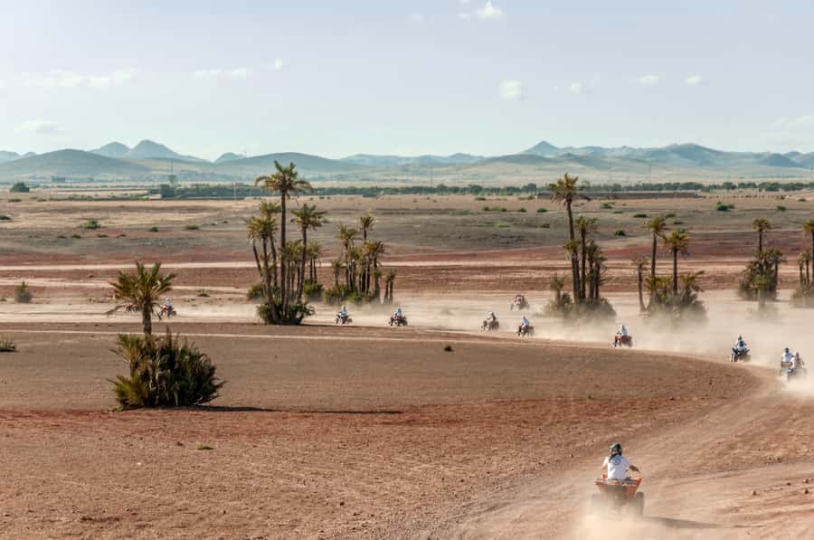 Marrakech: Quad Tour in Jbilets Desert with Palm Grove - From Marrakech pickup to the Palmeraie