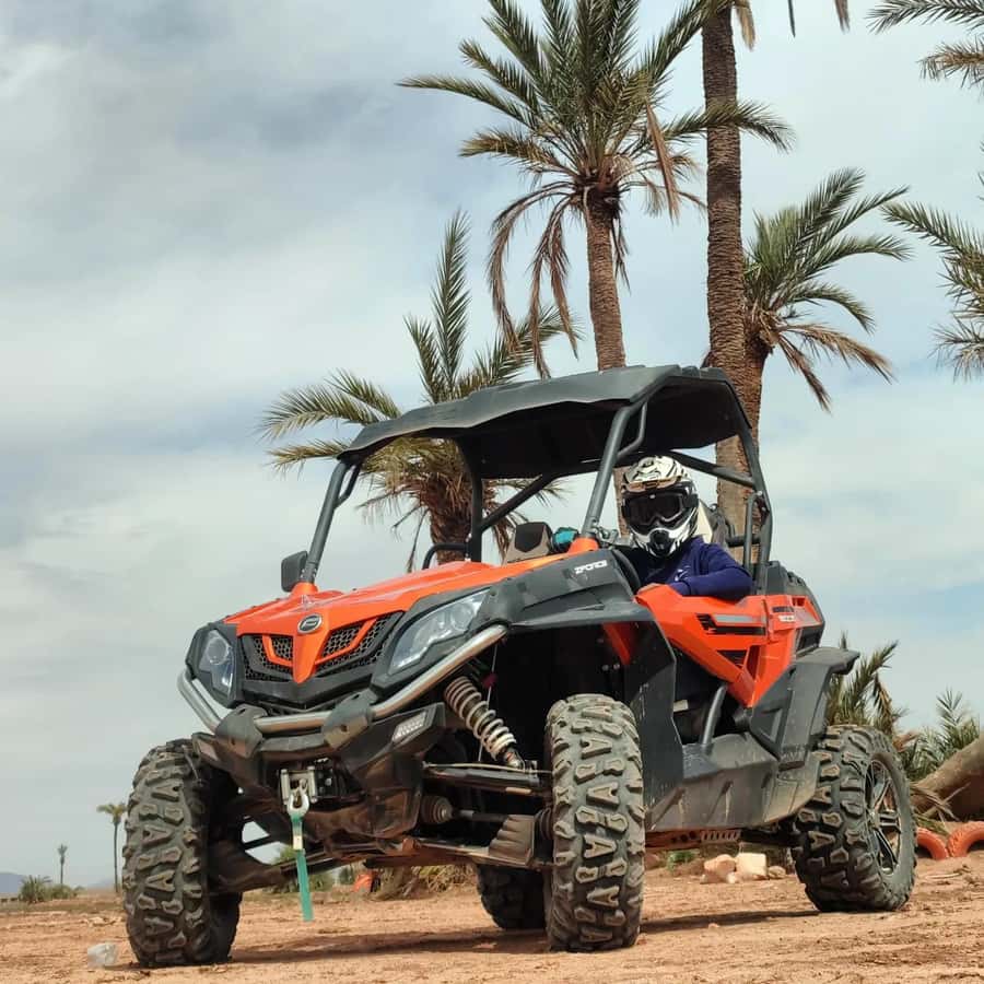 Marrakech : Ride buggy in the desert of the palm grove - Two hours among palms, villages, and open ground
