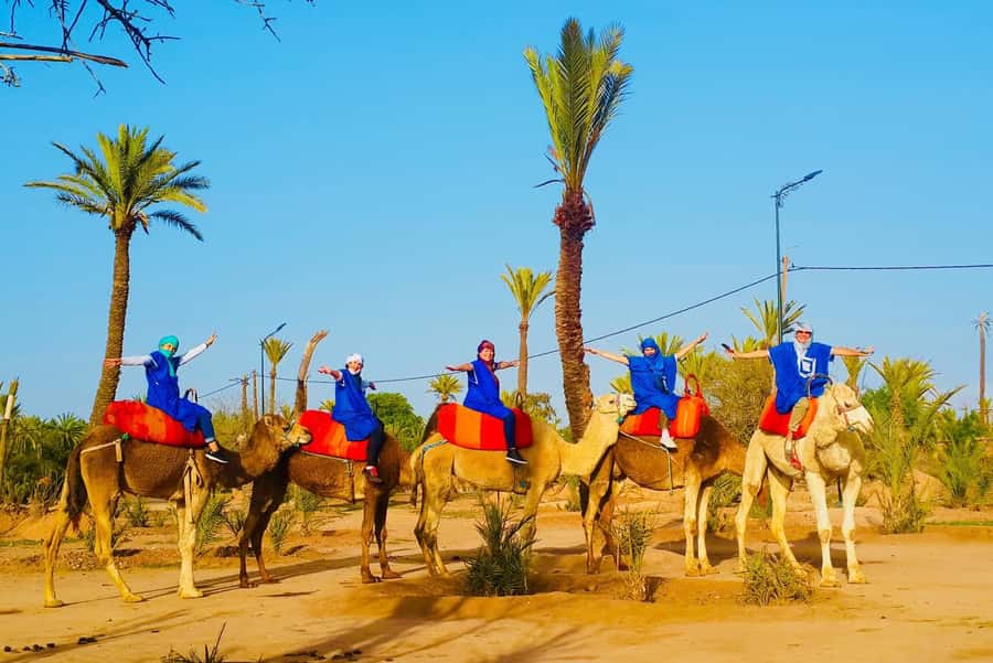 Marrakech: Sunset Camel Ride in Palmeraie - Meeting your camel in the palm oasis