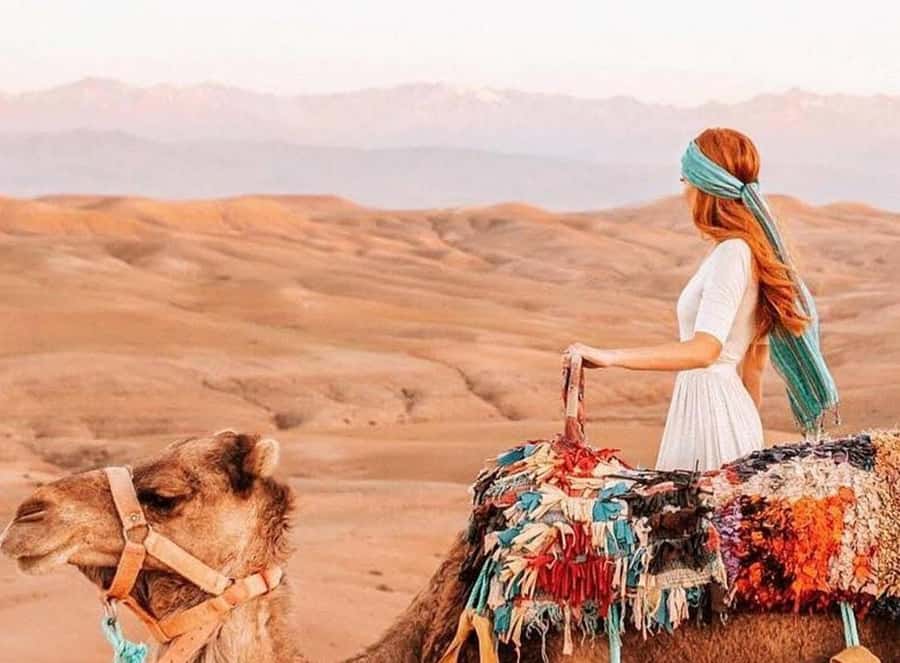 Marrakech: Sunset Dinner in Agafay Desert with Camel Ride - From Marrakech to the Agafay hills